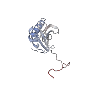 10779_6ydw_AK_v1-1
55S mammalian mitochondrial ribosome with mtEFG1 and two tRNAMet (TI-POST)