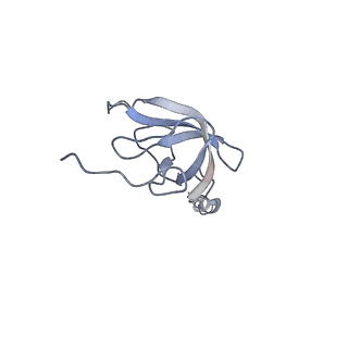 10779_6ydw_AL_v1-1
55S mammalian mitochondrial ribosome with mtEFG1 and two tRNAMet (TI-POST)