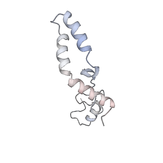 10779_6ydw_AN_v1-1
55S mammalian mitochondrial ribosome with mtEFG1 and two tRNAMet (TI-POST)