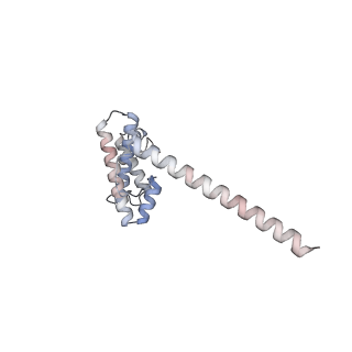 10779_6ydw_AO_v1-1
55S mammalian mitochondrial ribosome with mtEFG1 and two tRNAMet (TI-POST)