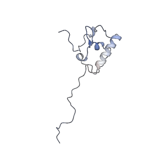 10779_6ydw_AR_v1-1
55S mammalian mitochondrial ribosome with mtEFG1 and two tRNAMet (TI-POST)