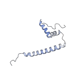 10779_6ydw_AU_v1-1
55S mammalian mitochondrial ribosome with mtEFG1 and two tRNAMet (TI-POST)