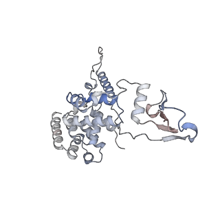 10779_6ydw_Aa_v1-1
55S mammalian mitochondrial ribosome with mtEFG1 and two tRNAMet (TI-POST)