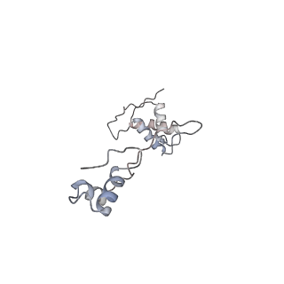 10779_6ydw_Ab_v1-1
55S mammalian mitochondrial ribosome with mtEFG1 and two tRNAMet (TI-POST)