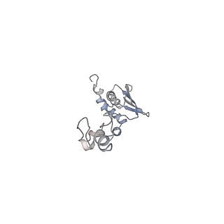 10779_6ydw_Ac_v1-1
55S mammalian mitochondrial ribosome with mtEFG1 and two tRNAMet (TI-POST)