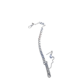 10779_6ydw_Ad_v1-1
55S mammalian mitochondrial ribosome with mtEFG1 and two tRNAMet (TI-POST)