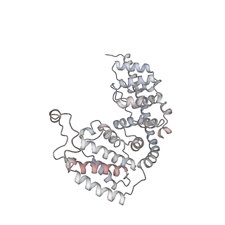 10779_6ydw_Ae_v1-1
55S mammalian mitochondrial ribosome with mtEFG1 and two tRNAMet (TI-POST)