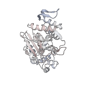 10779_6ydw_Ag_v1-1
55S mammalian mitochondrial ribosome with mtEFG1 and two tRNAMet (TI-POST)