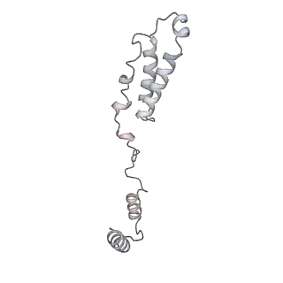 10779_6ydw_Ah_v1-1
55S mammalian mitochondrial ribosome with mtEFG1 and two tRNAMet (TI-POST)