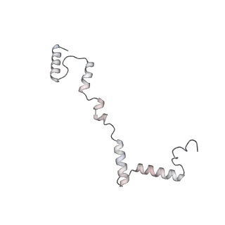 10779_6ydw_Ai_v1-1
55S mammalian mitochondrial ribosome with mtEFG1 and two tRNAMet (TI-POST)