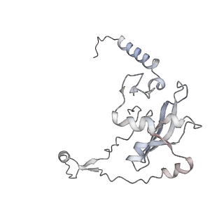 10779_6ydw_Aj_v1-1
55S mammalian mitochondrial ribosome with mtEFG1 and two tRNAMet (TI-POST)