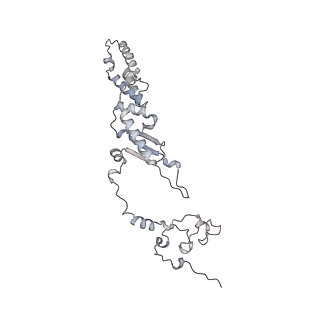 10779_6ydw_Ak_v1-1
55S mammalian mitochondrial ribosome with mtEFG1 and two tRNAMet (TI-POST)