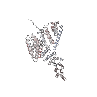 10779_6ydw_Ao_v1-1
55S mammalian mitochondrial ribosome with mtEFG1 and two tRNAMet (TI-POST)