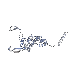 10779_6ydw_B1_v1-1
55S mammalian mitochondrial ribosome with mtEFG1 and two tRNAMet (TI-POST)