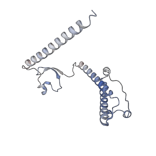10779_6ydw_B2_v1-1
55S mammalian mitochondrial ribosome with mtEFG1 and two tRNAMet (TI-POST)