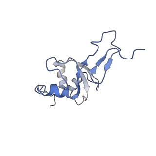 10779_6ydw_B3_v1-1
55S mammalian mitochondrial ribosome with mtEFG1 and two tRNAMet (TI-POST)