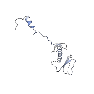 10779_6ydw_B5_v1-1
55S mammalian mitochondrial ribosome with mtEFG1 and two tRNAMet (TI-POST)