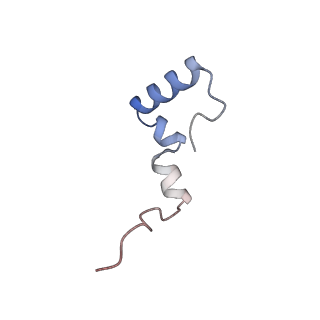 10779_6ydw_B7_v1-1
55S mammalian mitochondrial ribosome with mtEFG1 and two tRNAMet (TI-POST)