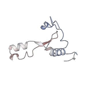 10779_6ydw_B8_v1-1
55S mammalian mitochondrial ribosome with mtEFG1 and two tRNAMet (TI-POST)