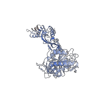 10779_6ydw_BC_v1-1
55S mammalian mitochondrial ribosome with mtEFG1 and two tRNAMet (TI-POST)
