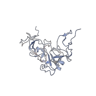 10779_6ydw_BD_v1-1
55S mammalian mitochondrial ribosome with mtEFG1 and two tRNAMet (TI-POST)
