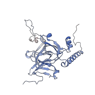 10779_6ydw_BE_v1-1
55S mammalian mitochondrial ribosome with mtEFG1 and two tRNAMet (TI-POST)