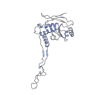 10779_6ydw_BF_v1-1
55S mammalian mitochondrial ribosome with mtEFG1 and two tRNAMet (TI-POST)