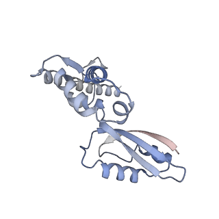 10779_6ydw_BK_v1-1
55S mammalian mitochondrial ribosome with mtEFG1 and two tRNAMet (TI-POST)