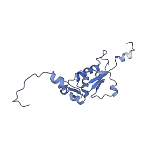 10779_6ydw_BN_v1-1
55S mammalian mitochondrial ribosome with mtEFG1 and two tRNAMet (TI-POST)