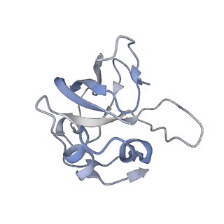 10779_6ydw_BO_v1-1
55S mammalian mitochondrial ribosome with mtEFG1 and two tRNAMet (TI-POST)