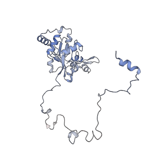10779_6ydw_BP_v1-1
55S mammalian mitochondrial ribosome with mtEFG1 and two tRNAMet (TI-POST)