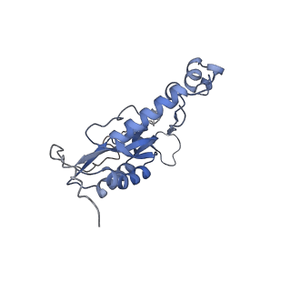 10779_6ydw_BQ_v1-1
55S mammalian mitochondrial ribosome with mtEFG1 and two tRNAMet (TI-POST)