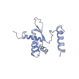 10779_6ydw_BR_v1-1
55S mammalian mitochondrial ribosome with mtEFG1 and two tRNAMet (TI-POST)