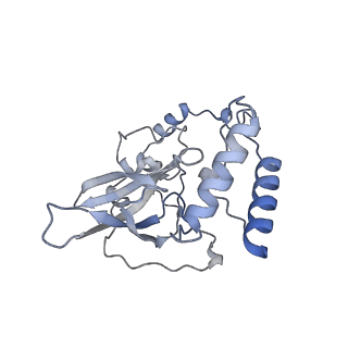 10779_6ydw_BT_v1-1
55S mammalian mitochondrial ribosome with mtEFG1 and two tRNAMet (TI-POST)