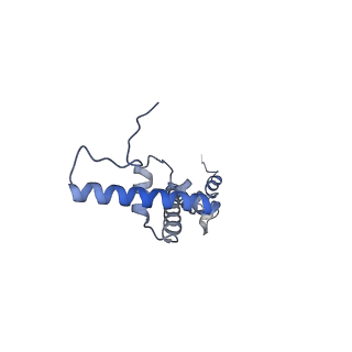 10779_6ydw_BU_v1-1
55S mammalian mitochondrial ribosome with mtEFG1 and two tRNAMet (TI-POST)