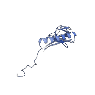 10779_6ydw_BV_v1-1
55S mammalian mitochondrial ribosome with mtEFG1 and two tRNAMet (TI-POST)