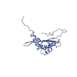 10779_6ydw_BW_v1-1
55S mammalian mitochondrial ribosome with mtEFG1 and two tRNAMet (TI-POST)