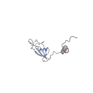 10779_6ydw_BX_v1-1
55S mammalian mitochondrial ribosome with mtEFG1 and two tRNAMet (TI-POST)