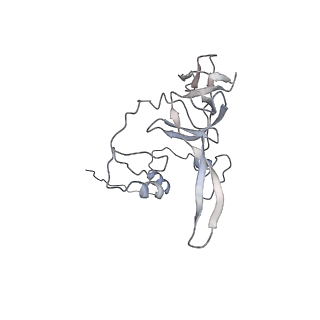 10779_6ydw_BY_v1-1
55S mammalian mitochondrial ribosome with mtEFG1 and two tRNAMet (TI-POST)