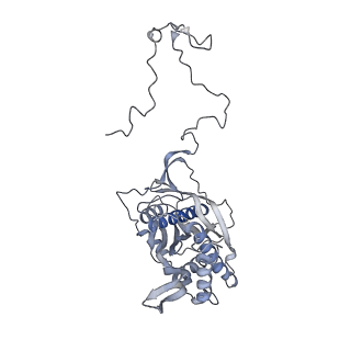10779_6ydw_Ba_v1-1
55S mammalian mitochondrial ribosome with mtEFG1 and two tRNAMet (TI-POST)