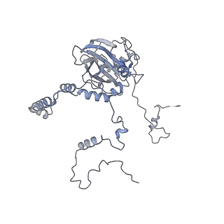 10779_6ydw_Bb_v1-1
55S mammalian mitochondrial ribosome with mtEFG1 and two tRNAMet (TI-POST)