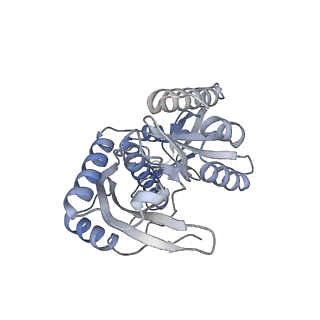 10779_6ydw_Bc_v1-1
55S mammalian mitochondrial ribosome with mtEFG1 and two tRNAMet (TI-POST)
