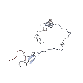 10779_6ydw_Be_v1-1
55S mammalian mitochondrial ribosome with mtEFG1 and two tRNAMet (TI-POST)