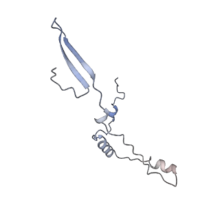 10779_6ydw_Bf_v1-1
55S mammalian mitochondrial ribosome with mtEFG1 and two tRNAMet (TI-POST)