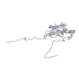 10779_6ydw_Bi_v1-1
55S mammalian mitochondrial ribosome with mtEFG1 and two tRNAMet (TI-POST)