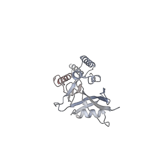 10779_6ydw_Bj_v1-1
55S mammalian mitochondrial ribosome with mtEFG1 and two tRNAMet (TI-POST)