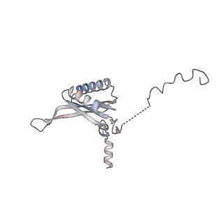 10779_6ydw_Bk_v1-1
55S mammalian mitochondrial ribosome with mtEFG1 and two tRNAMet (TI-POST)