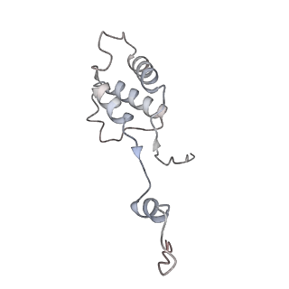 10779_6ydw_Bm_v1-1
55S mammalian mitochondrial ribosome with mtEFG1 and two tRNAMet (TI-POST)