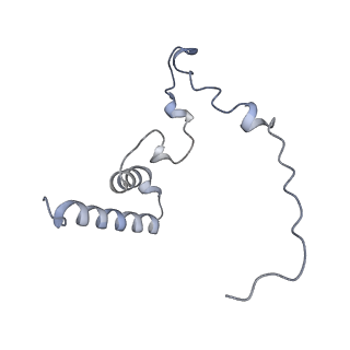 10779_6ydw_Bn_v1-1
55S mammalian mitochondrial ribosome with mtEFG1 and two tRNAMet (TI-POST)