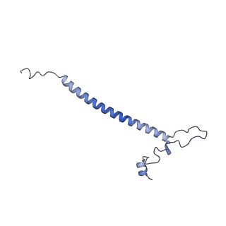 10779_6ydw_Bo_v1-1
55S mammalian mitochondrial ribosome with mtEFG1 and two tRNAMet (TI-POST)